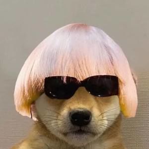 Meet your Posher, Areli